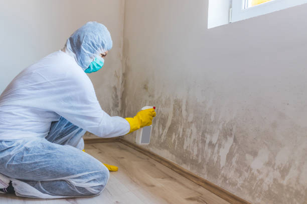 Attic mold on roof deck in Gwynedd Valley home