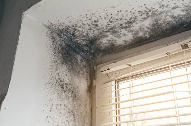 Clearance testing in Gwynedd Valley
